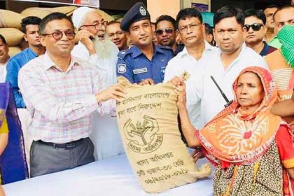 বিএনপি নেতারা ক্ষমতা হারিয়ে অন্ধ হয়ে গেছে : এনামুল হক শামীম 