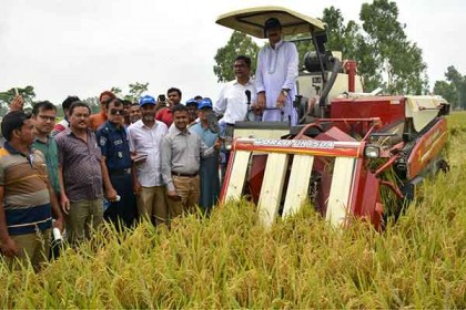 বীরগঞ্জে কম্বাইন হারভেস্টার দ্বারা বিনামূল্যে ধান কর্তন উদ্বোধন