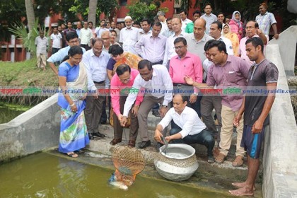 রাবিতে সাত পুকুর গবেষণা প্রকল্পের কাজ শুরু