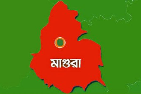 মাগুরায় সড়ক দুর্ঘটনায় যুবক নিহত