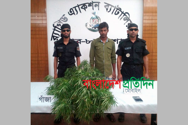 বাড়ির ছাদে গাঁজার চাষ করে র‌্যাবের হাতে গ্রেফতার ১