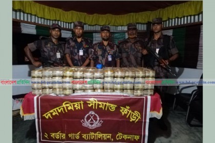 টেকনাফে বিজিবি'র অভিযানে সাড়ে ৯ লাখ ইয়াবা উদ্ধার 
