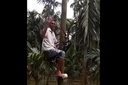 বাইক চালিয়ে নারিকেল গাছে উঠলেন কৃষক, ভিডিও ভাইরাল
