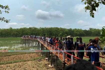 আঁকাবাঁকা দৃষ্টিনন্দন কাঠের সেতু দেখতে উপচে পড়া ভীড়