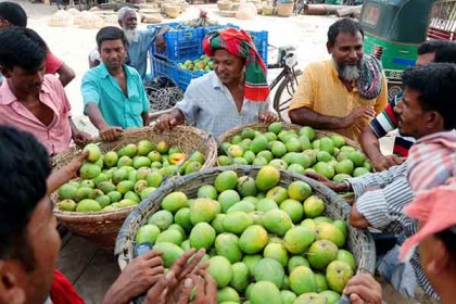 জমছে আমের হাট, দাম চড়া