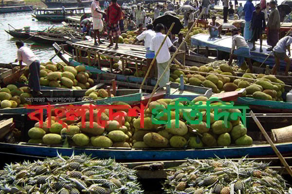 পাহাড়ে মিশ্র ফলের সুবাস

