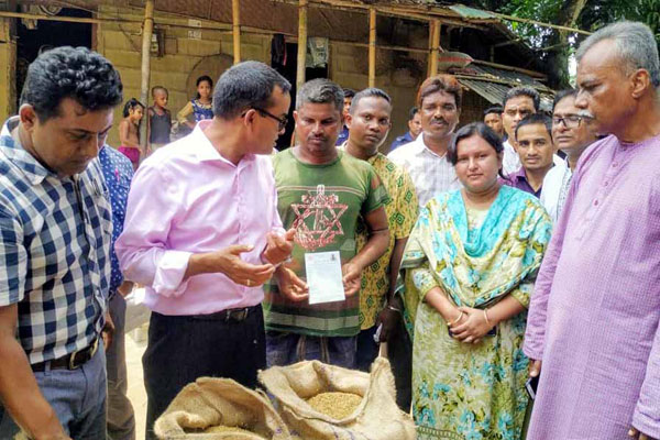 কৃষকের বাড়ি গিয়ে ধান কিনলেন সুনামগঞ্জের ডিসি

