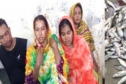 কবিরহাটের দু'পক্ষের সংঘর্ষে আহত ৮

