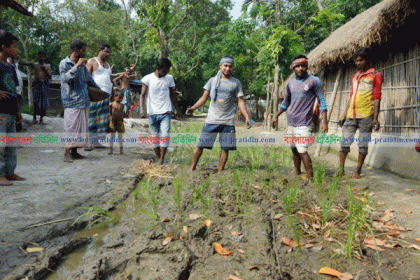 কাঁচা রাস্তায় ধানের চারা লাগিয়ে প্রতিবাদ