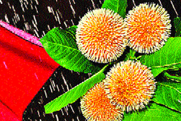 বৃষ্টির বার্তা নিয়ে এলো আষাঢ়