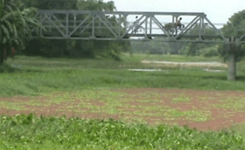 বড়াইগ্রামে বড়াল নদীর বাঁধ অবমুক্ত