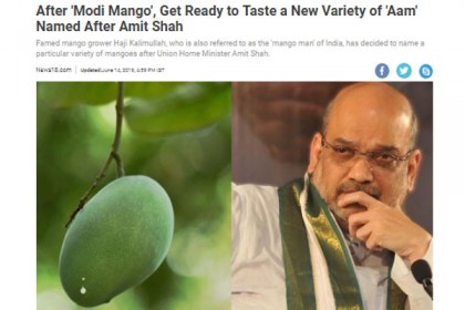 এবার বাজারে আসছে 'শাহ আম'!
