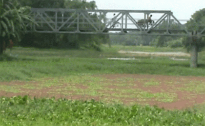 বড়াইগ্রামে বড়াল নদীর বাঁধ অবমুক্ত