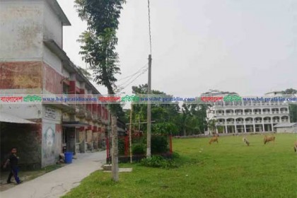 ছাত্রলীগের কারণে উত্তপ্ত শরণখোলা সরকারি কলেজ!