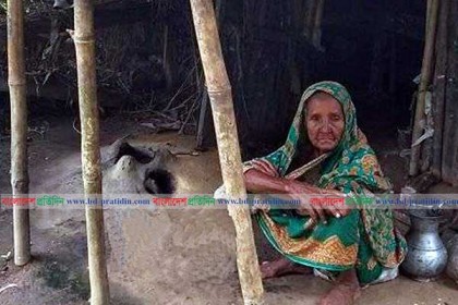 বয়স্ক ভাতা জোটেনি শতবর্ষী বাছিরনের