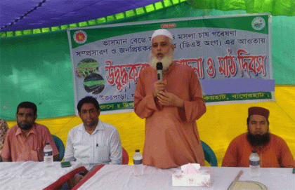 বাগেরহাটে ভাসমান বেডে সবজি চাষে মাঠ দিবস