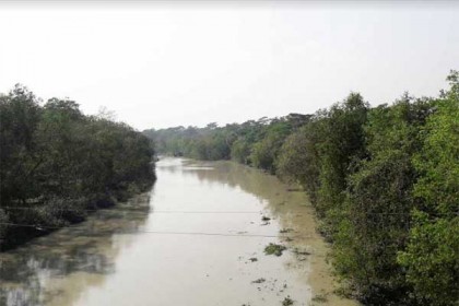 ১লা জুলাই থেকে সুন্দরবনের খালে মাছ আহরণ নিষিদ্ধ
