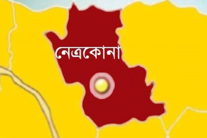 নেত্রকোনায় পাবলিক সার্ভিস দিবস উপলক্ষে র‌্যালি