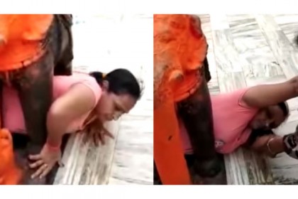 হাতির পায়ের মাঝে আটকে গেলেন নারী, অতঃপর... (ভিডিও)