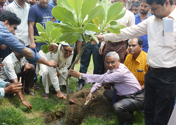হাবিপ্রবি’ ক্যাম্পাসে জাতীয় বৃক্ষরোপণ কর্মসূচি উদ্বোধন ও বর্ণাঢ্য র‌্যালি