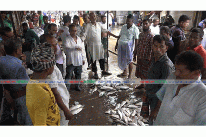 ইলিশ শূন্য বরিশালের মোকাম 