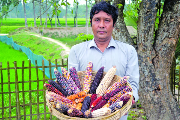 চাকরি ছেড়ে কৃষিতে সফল বাবু