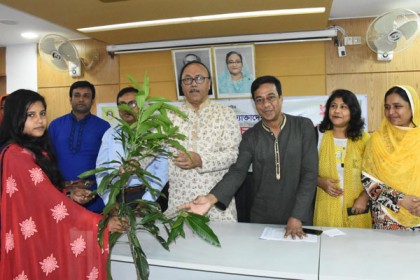 ক্ষুদ্র উদ্যোক্তা ও প্রান্তিক মানুষের মধ্যে গাছের চারা বিতরণ 
