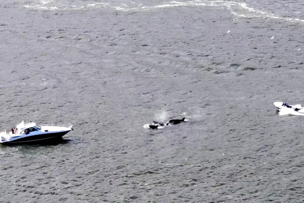 হন্ডুরাসে মাছ ধরার নৌকা ডুবে ২৬ জনের মৃত্যু