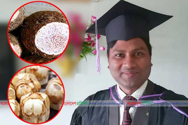 ডায়াবেটিস প্রতিরোধ করবে 'তাল' ও 'ওলকচু' 