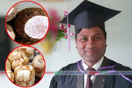 ডায়াবেটিস প্রতিরোধ করবে 'তাল' ও 'ওলকচু' 