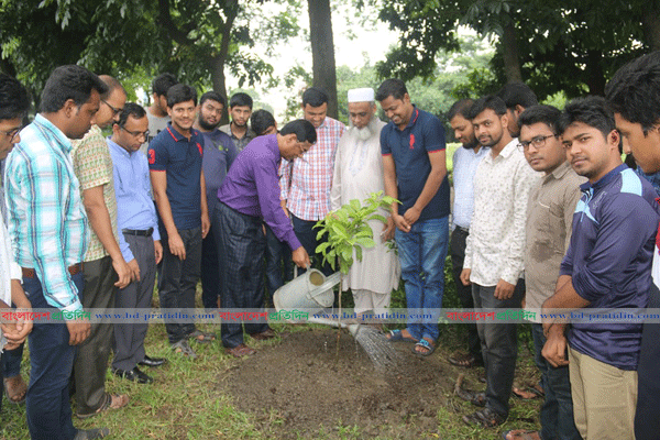 বৈশ্বিক উষ্ণতা রোধে বৃক্ষরোপনের বিকল্প নেই
