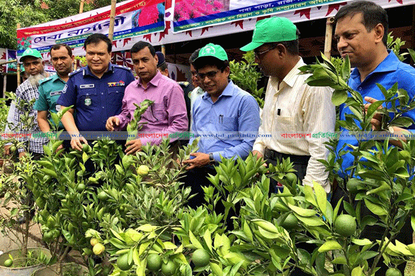 রাজশাহীতে ২০ দিনের বৃক্ষ মেলা শুরু