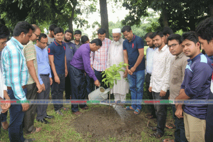 বৈশ্বিক উষ্ণতা রোধে বৃক্ষরোপনের বিকল্প নেই