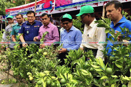 রাজশাহীতে ২০ দিনের বৃক্ষ মেলা শুরু