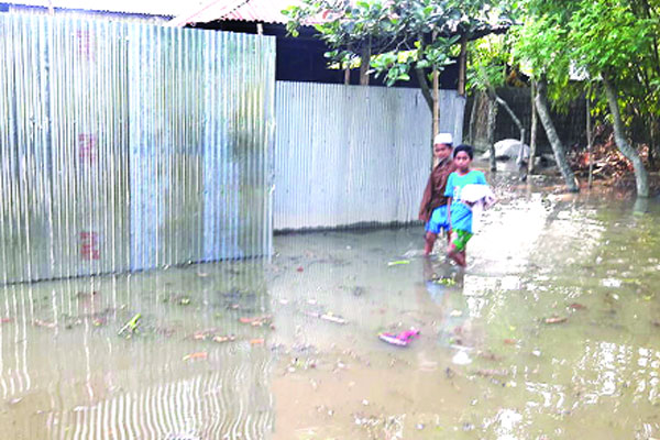 বন্যায় তলিয়েছে বিস্তীর্ণ এলাকা