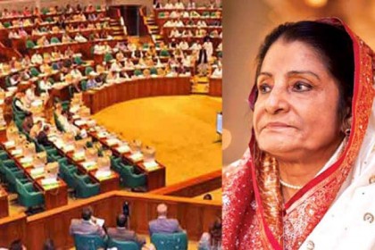 জনগণকে একটু রেহাই দেন, গ্যাসের দাম বৃদ্ধি নিয়ে রওশন