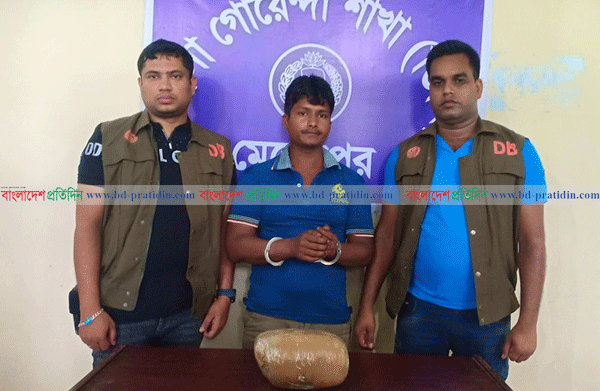 মেহেরপুরে গাঁজাসহ ভারতীয় নাগরিক আটক