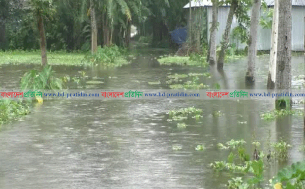 তিস্তায় পানি বৃদ্ধি