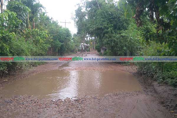 সড়ক নয় যেন ডোবা!