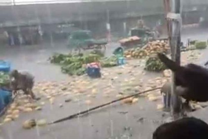 প্রবল বর্ষণে ভেসে যাচ্ছে যাত্রাবাড়ী আড়তের ফল-মূল, ভিডিও ভাইরাল  