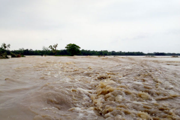 বৃষ্টি আর ঢলের পানিতে উত্তাল কুশিয়ারা