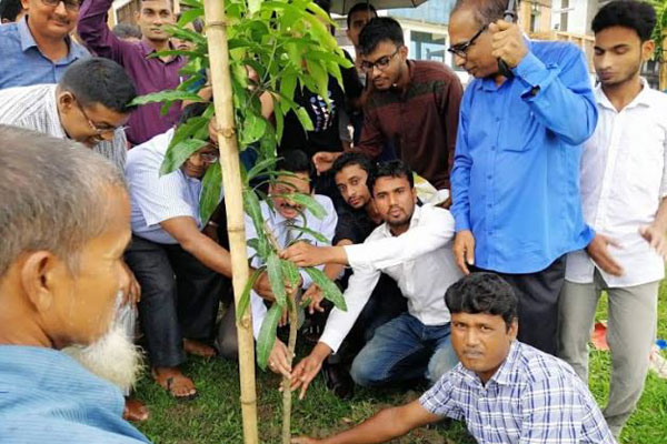 নজরুল বিশ্ববিদ্যালয় সাংবাদিক সমিতির বৃক্ষরোপণ