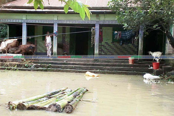 বিশ্বনাথে বাড়ছে পানি, প্লাবিত নিম্নাঞ্চল