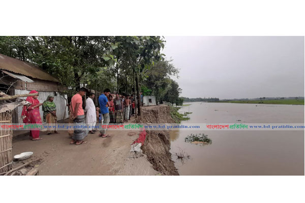 নকলায় নদীর ভাঙনে বিলিন হচ্ছে আবাদী জমি ও ঘর-বাড়ি