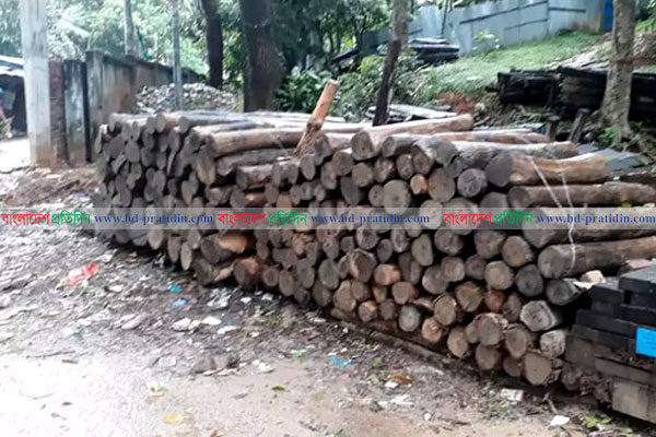 রাঙামাটিতে পাচারকালে কাঠ উদ্ধার

