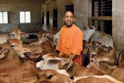 গরুর মৃত্যুতে গাফিলতি; ৮ সরকারি কর্মকর্তা বরখাস্ত