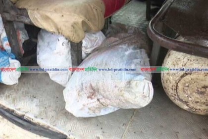 ময়লার স্তুপে পাওয়া সেই ৬ টুকরো লাশের পরিচয় মেলেনি