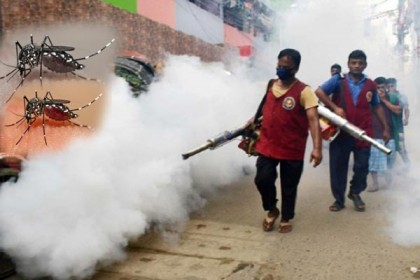 '২৫-৩১ জুলাই সারাদেশে মশক নিধন সপ্তাহ পালন করা হবে'