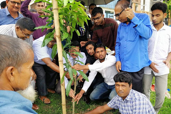 নজরুল বিশ্ববিদ্যালয় সাংবাদিক সমিতির বৃক্ষরোপণ