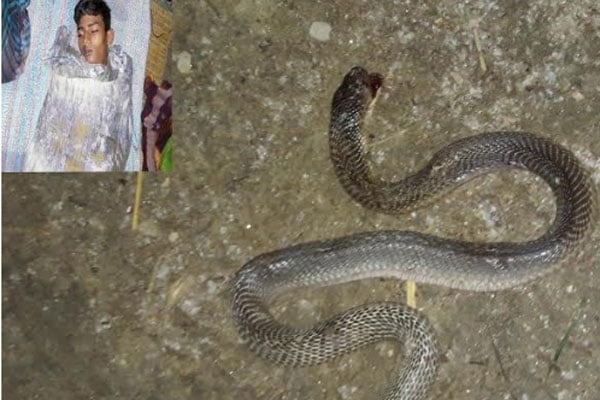 হরিপুরে সাপের কামড়ে স্কুলছাত্রের মৃত্যু

